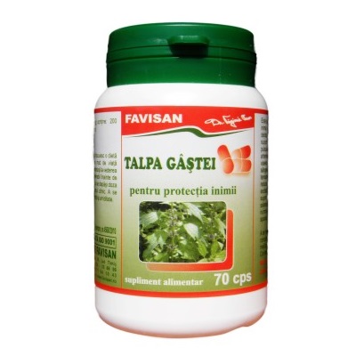 Talpa Gastei, 70 capsule - Favisan