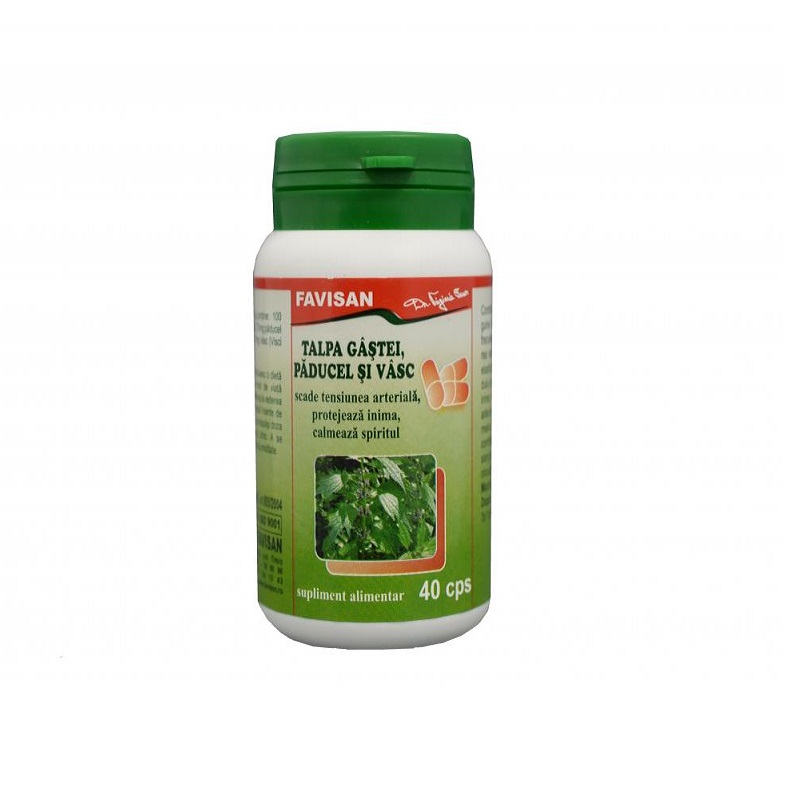 Talpa Gastei, Paducel, Vasc, 40 capsule - Favisan